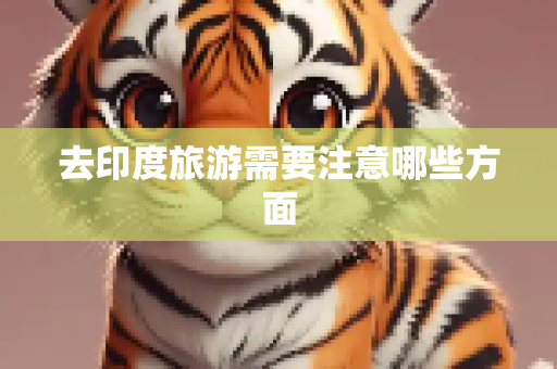 去印度旅游需要注意哪些方面