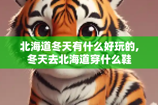 北海道冬天有什么好玩的,冬天去北海道穿什么鞋