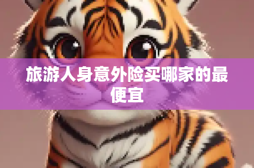旅游人身意外险买哪家的最便宜