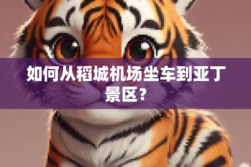 如何从稻城机场坐车到亚丁景区？