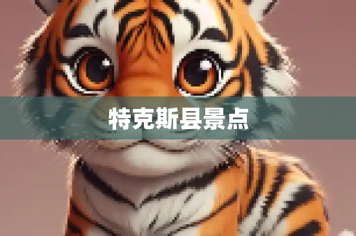特克斯县景点