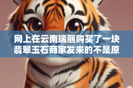网上在云南瑞丽购买了一块翡翠玉石商家发来的不是原货怎么办？