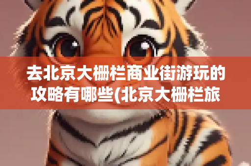 去北京大栅栏商业街游玩的攻略有哪些(北京大栅栏旅游攻略)