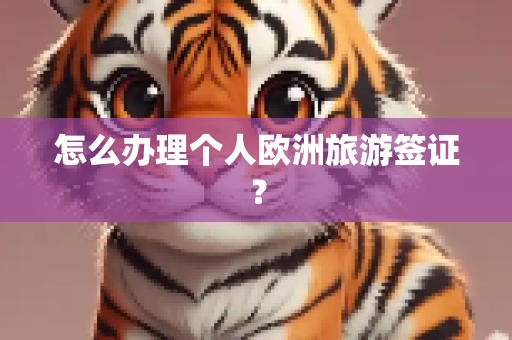 怎么办理个人欧洲旅游签证？