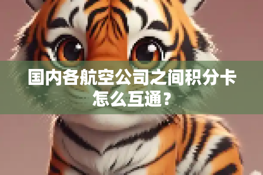 国内各航空公司之间积分卡怎么互通？