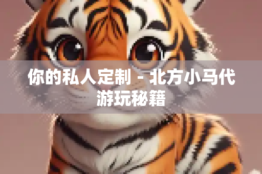 你的私人定制－北方小马代游玩秘籍