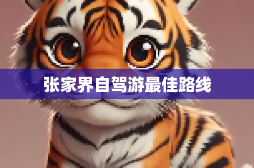 张家界自驾游最佳路线