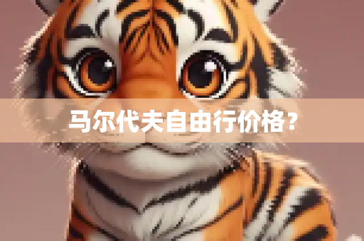 马尔代夫自由行价格？