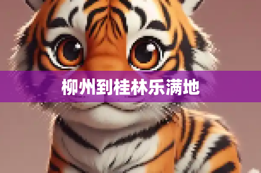 柳州到桂林乐满地
