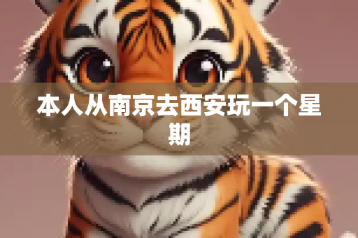 本人从南京去西安玩一个星期