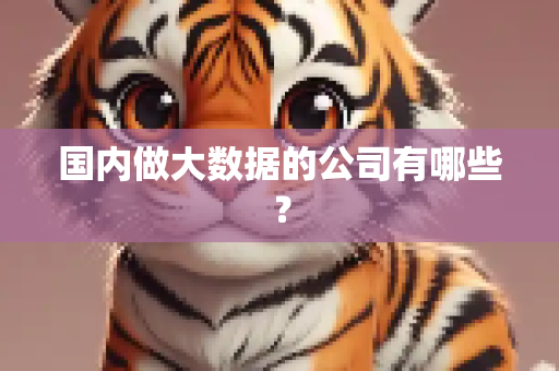 国内做大数据的公司有哪些？