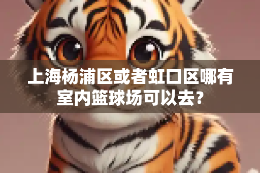 上海杨浦区或者虹口区哪有室内篮球场可以去？