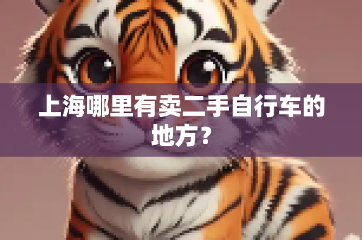 上海哪里有卖二手自行车的地方？
