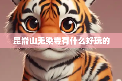 昆嵛山无染寺有什么好玩的