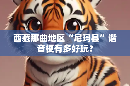 西藏那曲地区“尼玛县”谐音梗有多好玩？