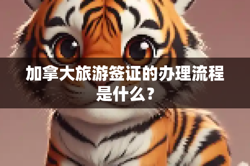 加拿大旅游签证的办理流程是什么？