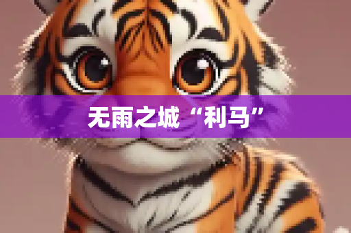 无雨之城“利马”