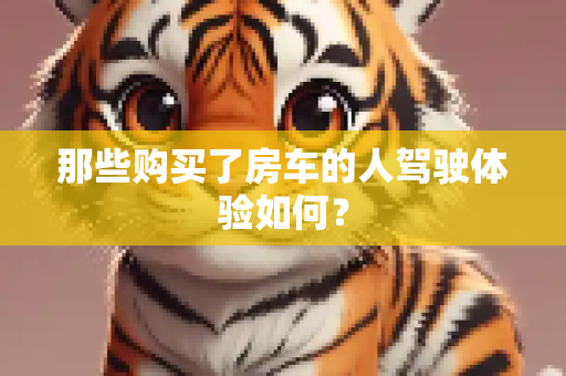 那些购买了房车的人驾驶体验如何？