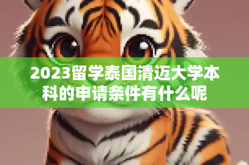 2023留学泰国清迈大学本科的申请条件有什么呢
