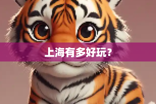上海有多好玩？