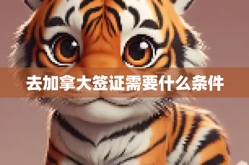 去加拿大签证需要什么条件