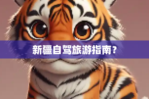 新疆自驾旅游指南？