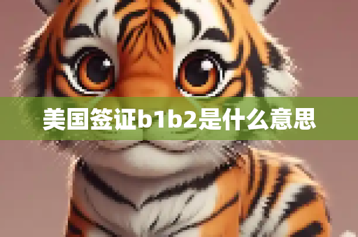 美国签证b1b2是什么意思