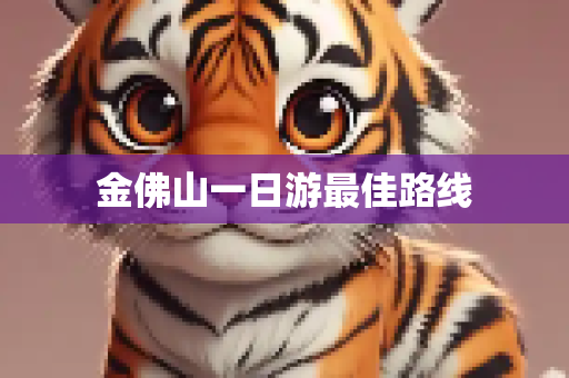 金佛山一日游最佳路线