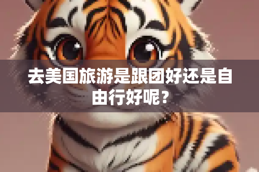 去美国旅游是跟团好还是自由行好呢？
