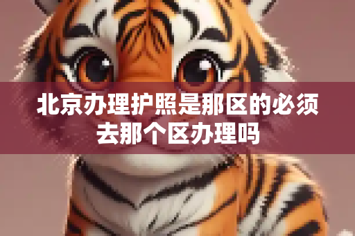 北京办理护照是那区的必须去那个区办理吗