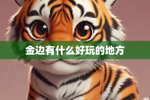 金边有什么好玩的地方