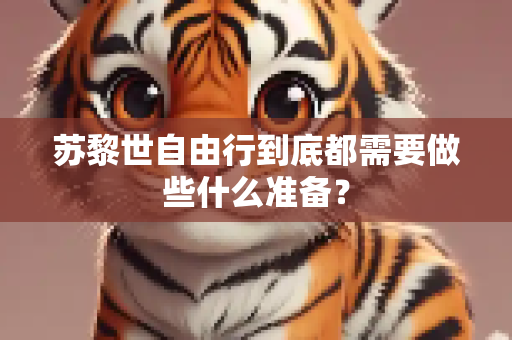 苏黎世自由行到底都需要做些什么准备？
