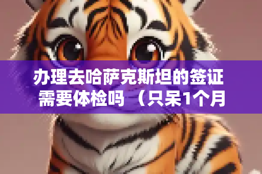 办理去哈萨克斯坦的签证 需要体检吗 （只呆1个月