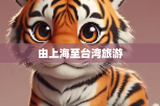 由上海至台湾旅游