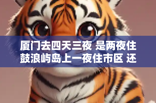 厦门去四天三夜 是两夜住鼓浪屿岛上一夜住市区 还是反过来 还是三夜都住岛上 或者三夜住市区