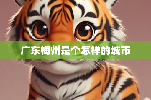 广东梅州是个怎样的城市