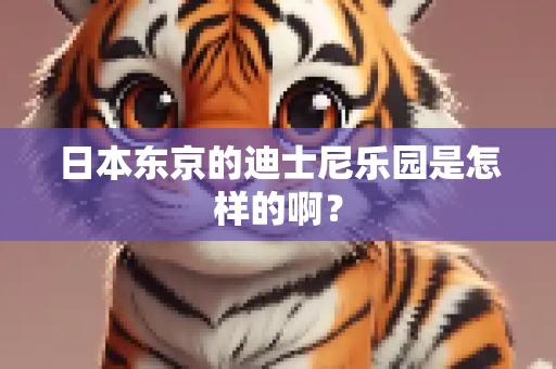 日本东京的迪士尼乐园是怎样的啊？
