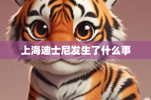 上海迪士尼发生了什么事