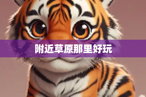 附近草原那里好玩