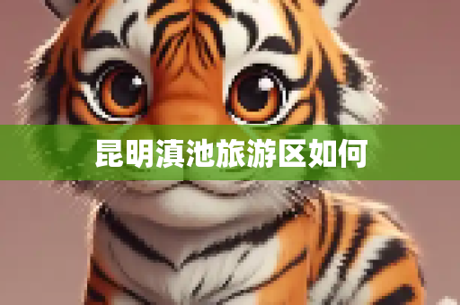 昆明滇池旅游区如何