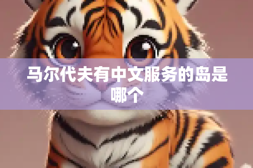 马尔代夫有中文服务的岛是哪个