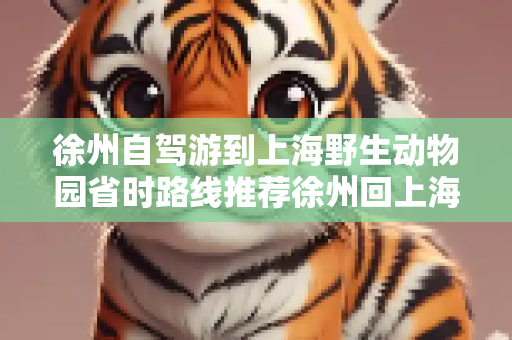 徐州自驾游到上海野生动物园省时路线推荐徐州回上海野生动物园路线攻略