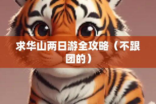 求华山两日游全攻略（不跟团的）