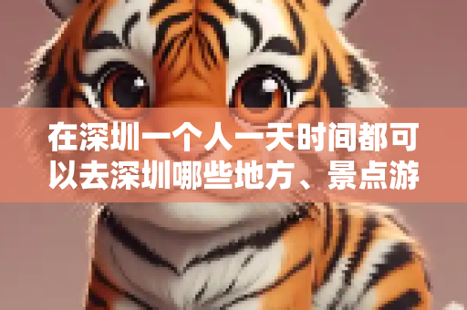 在深圳一个人一天时间都可以去深圳哪些地方、景点游玩？