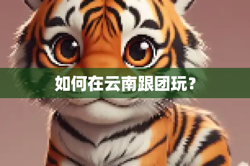 如何在云南跟团玩？