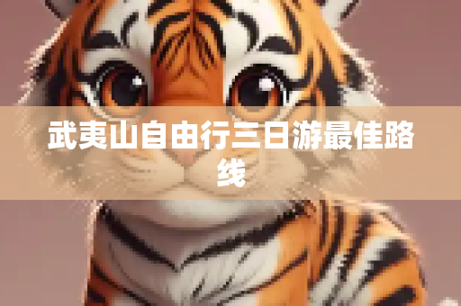 武夷山自由行三日游最佳路线