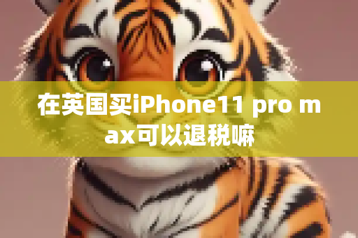 在英国买iPhone11 pro max可以退税嘛