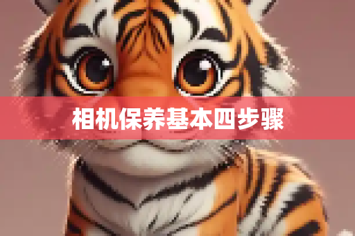 相机保养基本四步骤