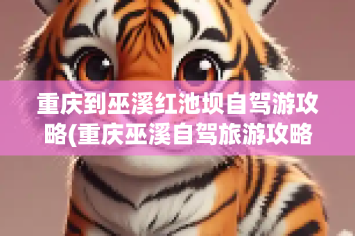 重庆到巫溪红池坝自驾游攻略(重庆巫溪自驾旅游攻略)