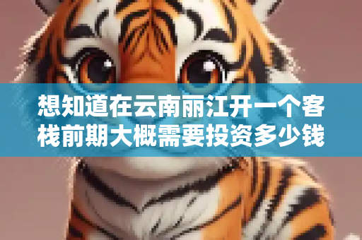 想知道在云南丽江开一个客栈前期大概需要投资多少钱